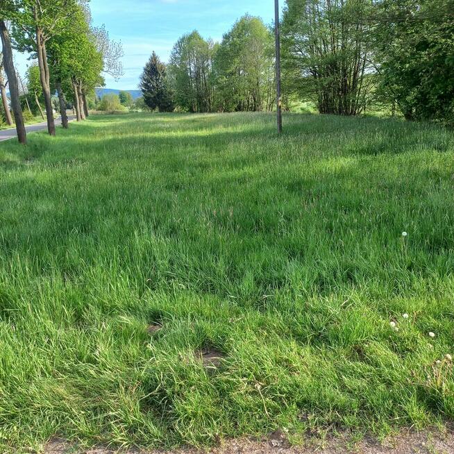 Sprzedam działki rolne