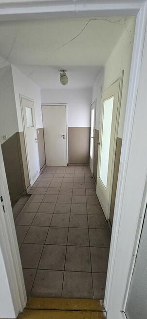 Siedlisko Dom + murowane budynki pod uprawy pasiekę hodowlę
