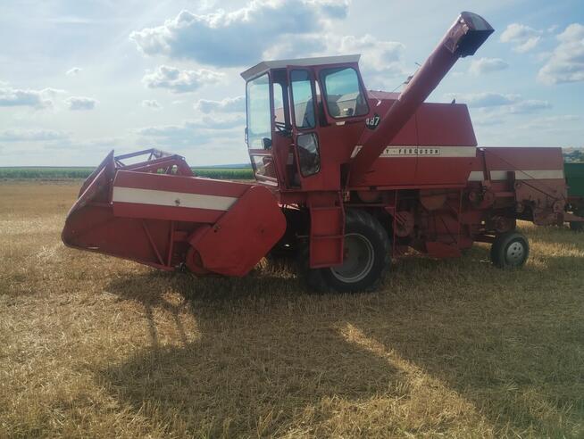 Kombajn zbożowy Massey Ferguson 487