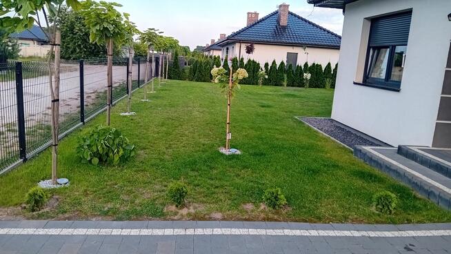 Dom na sprzedaż