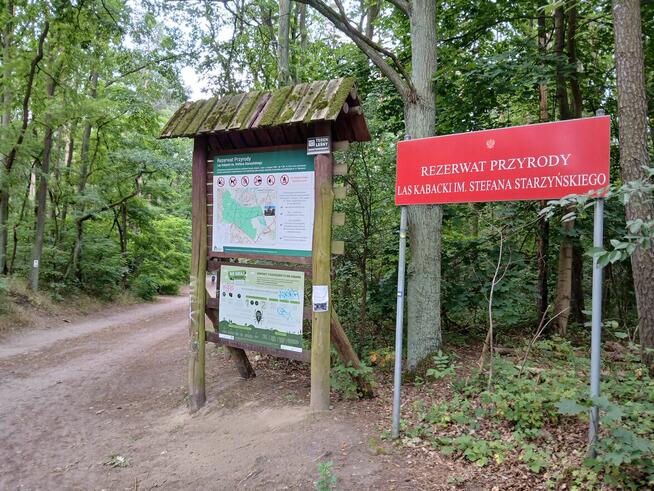 Wycieczkę rowerową do zamku w Czersku (k. Warszawy)