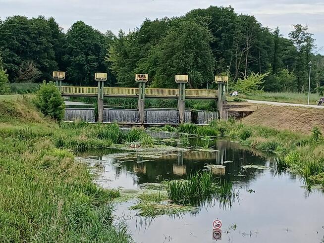 Wycieczkę rowerową do zamku w Czersku (k. Warszawy)