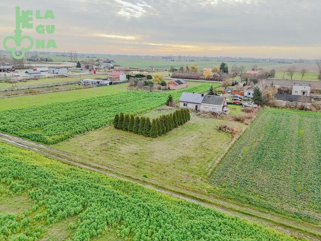 Lokal użytkowy Plecka Dąbrowa gm. Bedlno, Krajowa