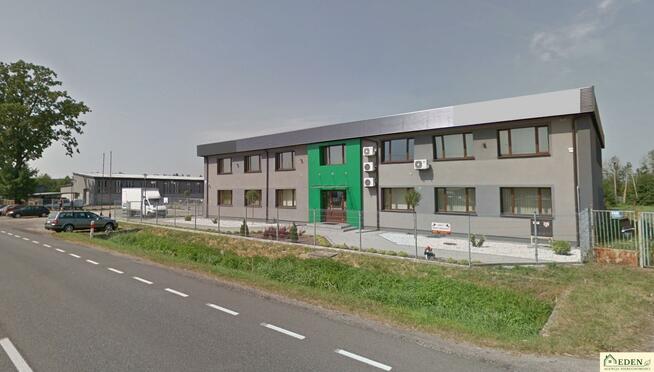 Lokal użytkowy Łuków