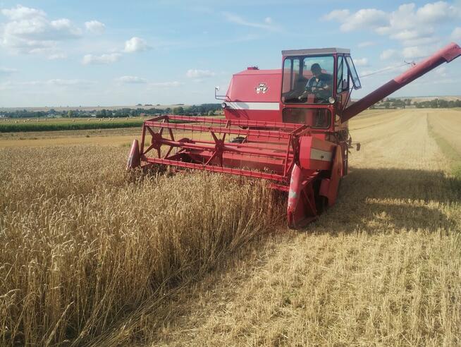 Kombajn zbożowy Massey Ferguson 487