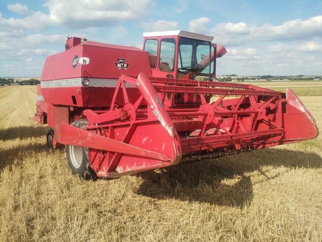 Kombajn zbożowy Massey Ferguson 487