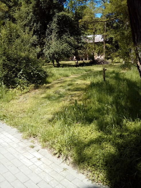 Sprzedam leśniczówkę Potockich