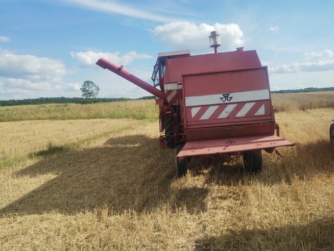 Kombajn zbożowy Massey Ferguson 487