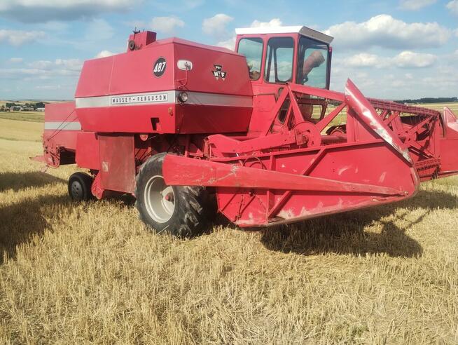 Kombajn zbożowy Massey Ferguson 487