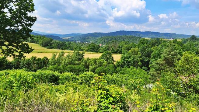 Działka z warunkami zabudowy i widokiem na Bieszczady