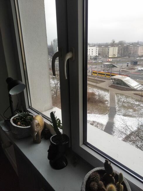 Zamienię pokój z widna kuchnią
