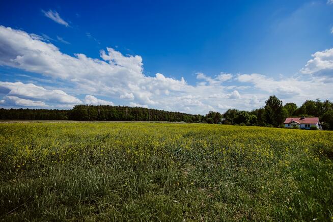 Działka budowlana Kępa Borzechowska gm. Borzechów
