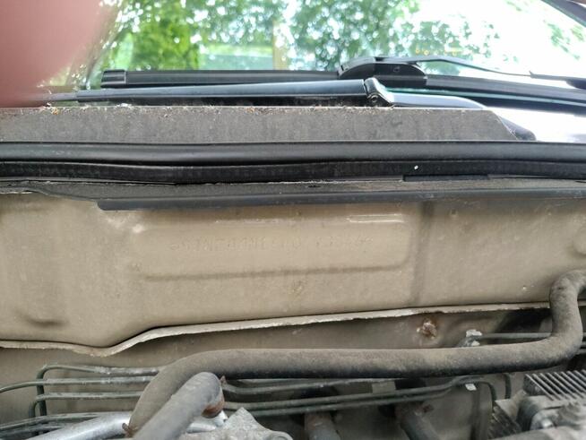 Nissan Almera VISIA+ 1.5 Benzyna - Salon Polska - 66500 km.