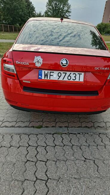 sprzedam skode octavie salon polska serwisowana w ASO