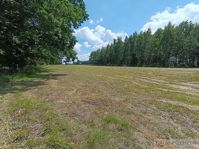 Działka rolna Błogoszcz