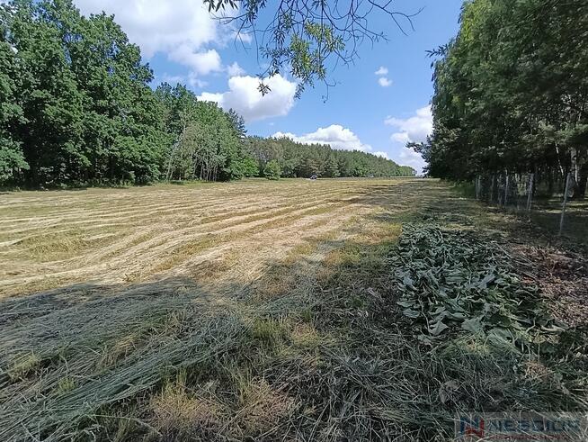 Działka rolna Błogoszcz