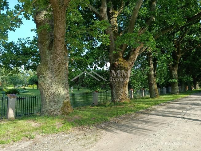 Nowoczesny dom wolnostojący z ogrodem w Rusach.