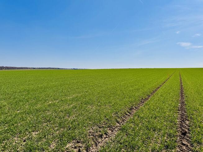 Działka budowlana Jordanów Śląski,