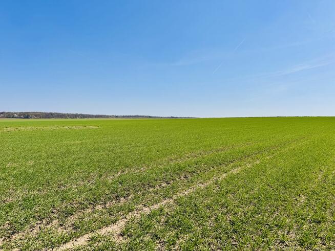 Działka budowlana Jordanów Śląski,