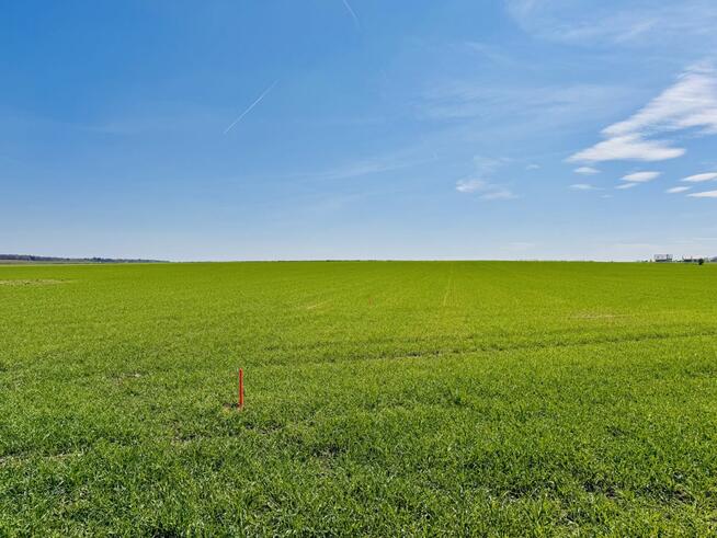 Działka budowlana Jordanów Śląski,