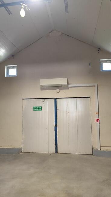 wynajmę 2 hale Białołęka super lokalizacja siła 40 kw