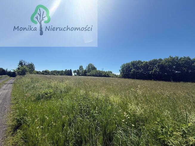 Działka rolna Bugi gm. Lidzbark Warmiński