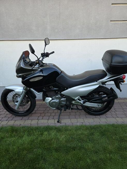 Suzuki XF 650 FREEWIND R 1997 Transport Raty Największy Wybór bmw f 650 KAT A2