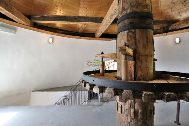 Lokal użytkowy Grodków, Krakowska