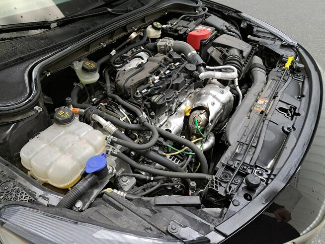 Ford Focus Poleasingowe.pl SCM