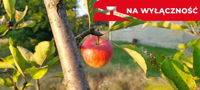 Ładna, uzbrojona działka pod lasem-33a-Wilczopole