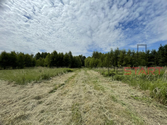 Działka rolna Żuków gm. Puszcza Mariańska,
