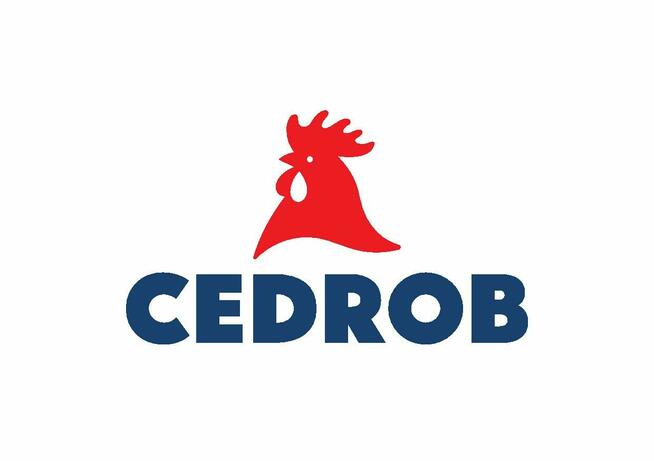 Lider produkcji (K/M)