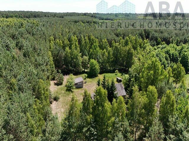 Janowice gm. Sompolno - Urokliwe siedlisko 7,31 ha