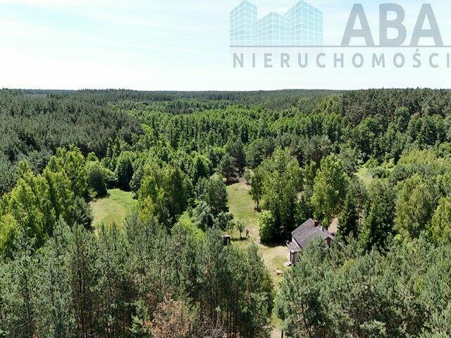 Janowice gm. Sompolno - Urokliwe siedlisko 7,31 ha