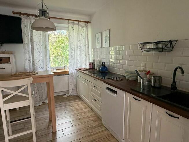 Siedlisko zatopione w zieleni drzew i 12 ha ziemi