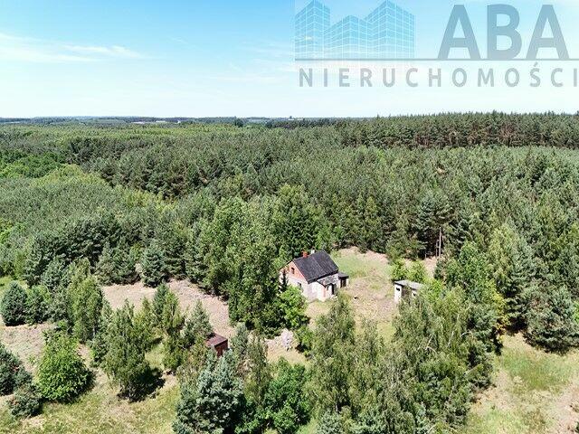 Janowice gm. Sompolno - Urokliwe siedlisko 7,31 ha