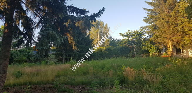 ⭐⭐⭐⭐ Blisko WKD na dom 2 lokal Media 1600m2 ⭐⭐⭐⭐