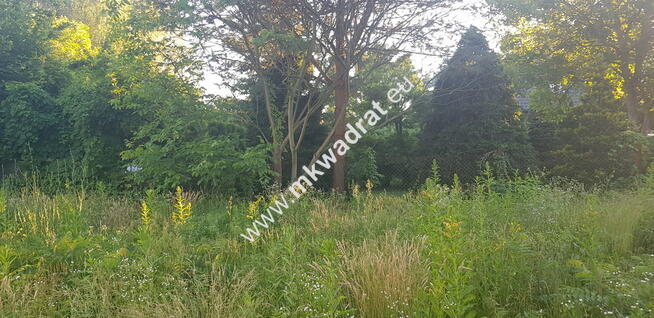 ⭐⭐⭐⭐ Blisko WKD na dom 2 lokal Media 1600m2 ⭐⭐⭐⭐