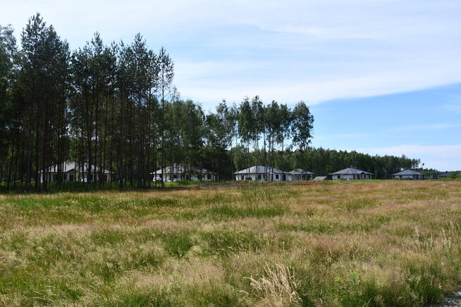 Działki 10a pod zabudowę pod lasem- Widełka