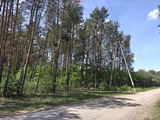 Krzyżówka_urokliwa działka z potencjałem !