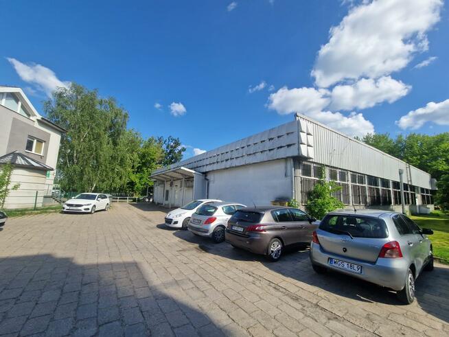 Lokal użytkowy Konin, Sosnowa