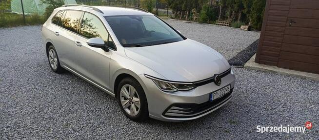 Volkswagen Golf 1.5 eTSI EVO Life DSG