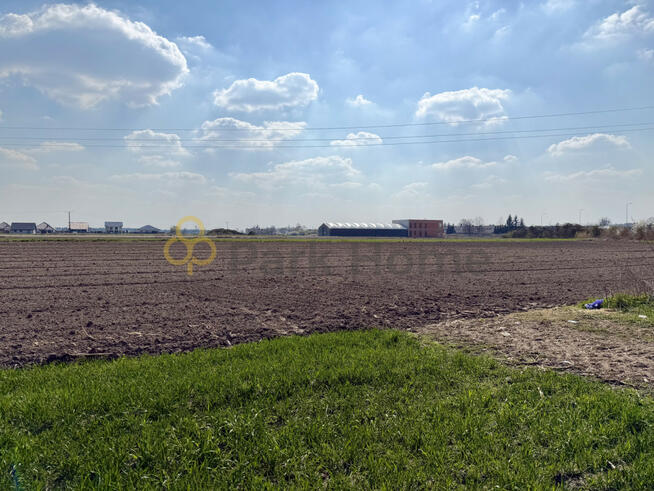 Działka rolna Rawicz, Tysiąclecia