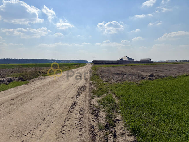 Działka rolna Szymanowo gm. Rawicz, Manewrowa