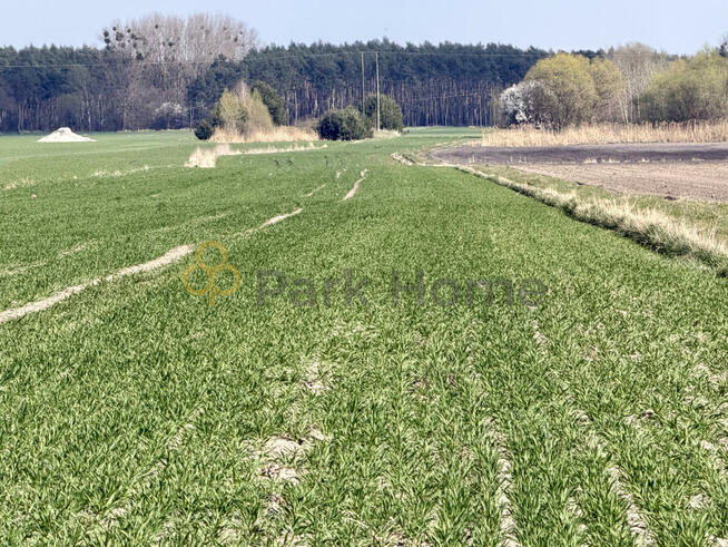 Działka rolna Szymanowo gm. Rawicz, Kowalikowa