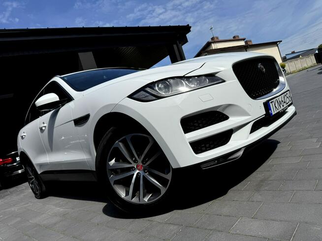 Biały Jaguar Salon Polska
