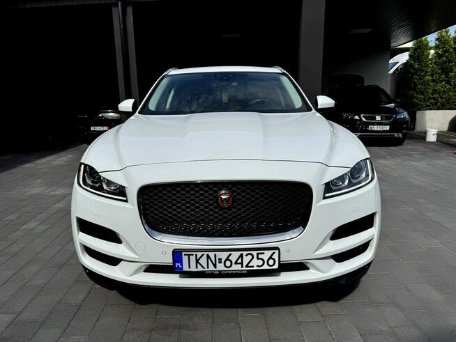 Biały Jaguar Salon Polska