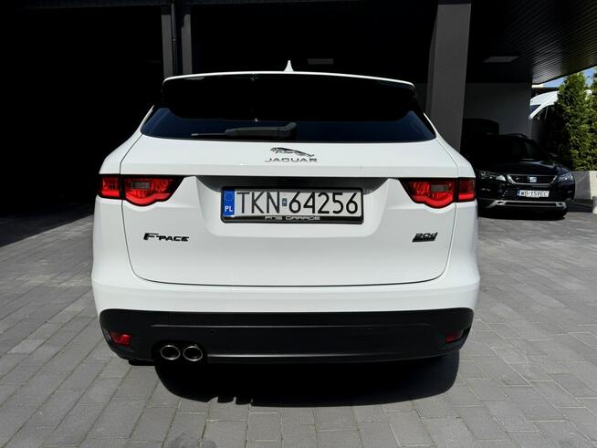Biały Jaguar Salon Polska