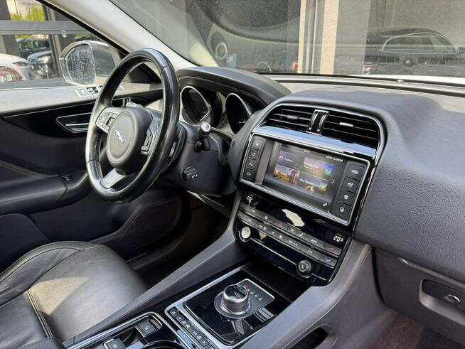 Biały Jaguar Salon Polska