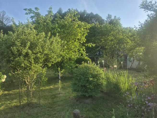 Dzialka Rekreacyjna Rod Ruptawiec 3ar